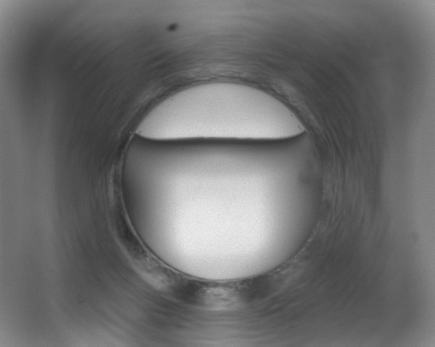 X0000062860167200601130957