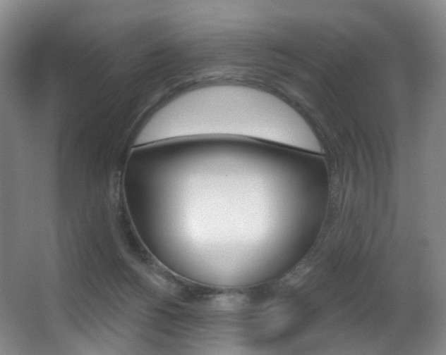 X0000062860168200601130957
