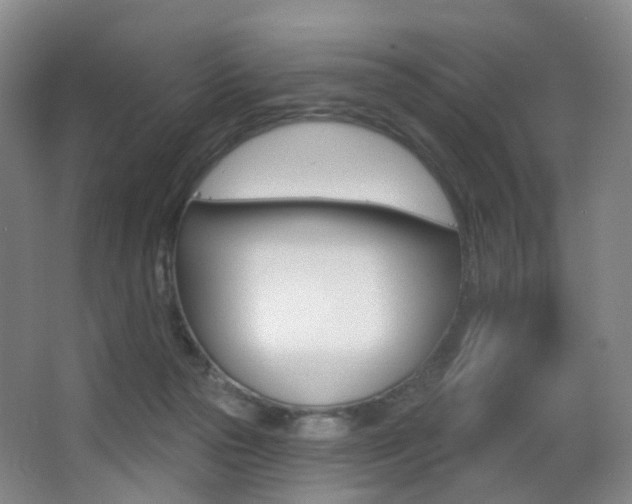 X0000062860169200601130957