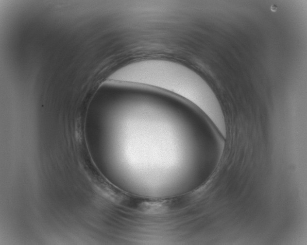 X0000062860170200601130957