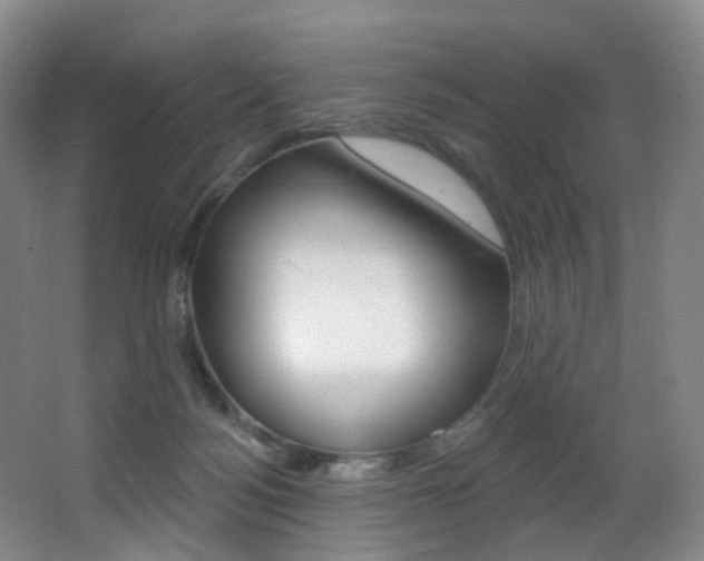 X0000062860172200601130957