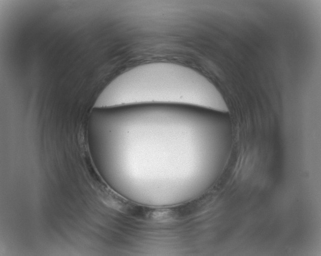 X0000062860173200601130957