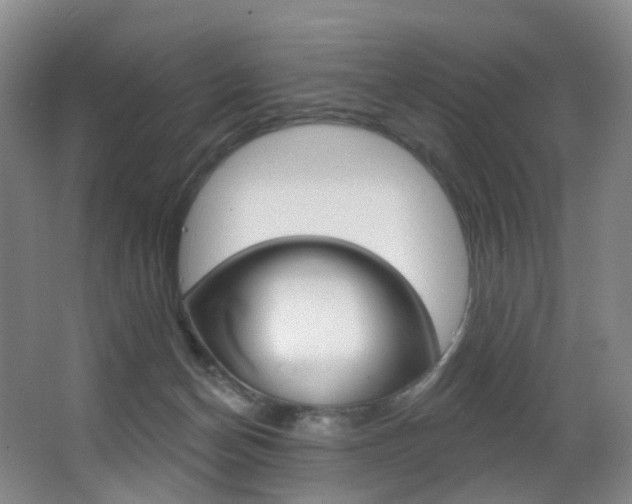 X0000062860174200601130957