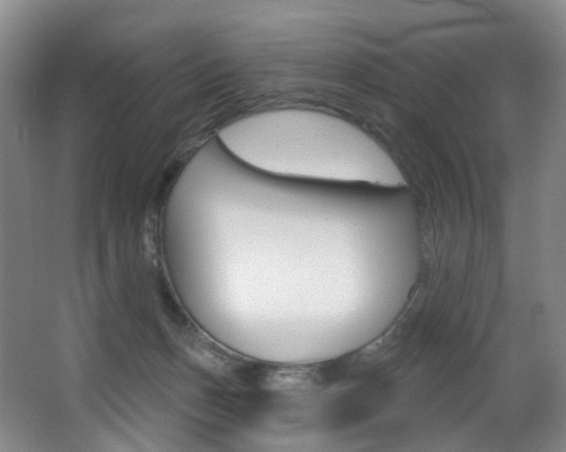 X0000062860175200601130957