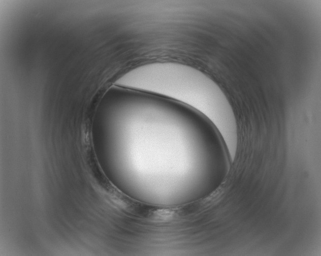 X0000062860176200601130957