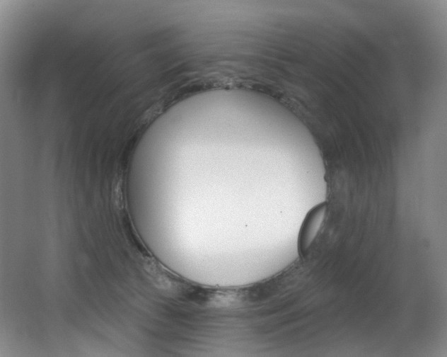X0000062860177200601130957