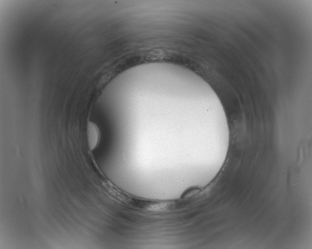 X0000062860178200601130957