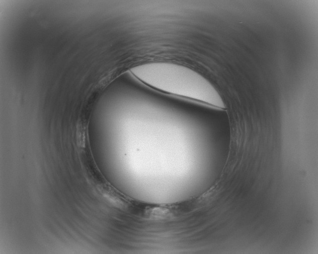 X0000062860180200601130957