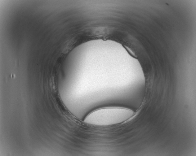 X0000062860182200601130957