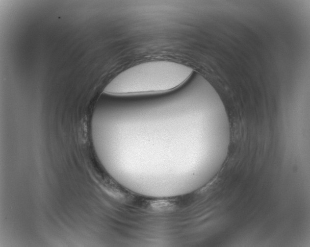 X0000062860183200601130957