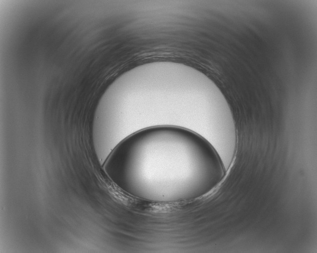 X0000062860190200601130958