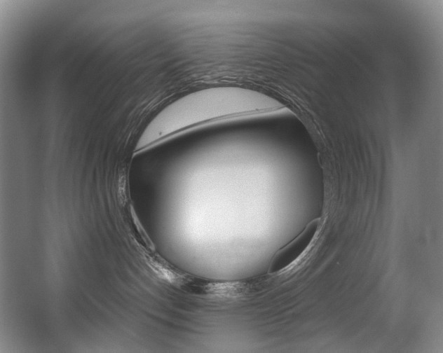 X0000062860192200601130958