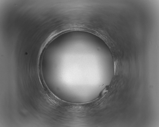 X0000062860195200601130957