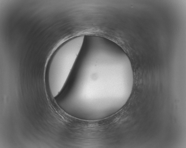X0000062860196200601130957