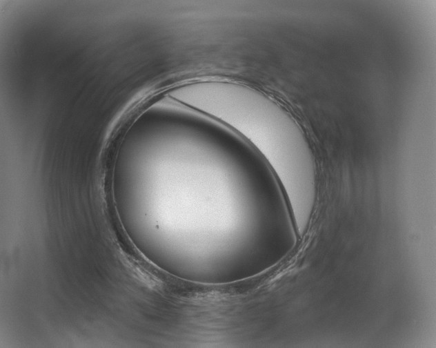 X0000062860197200601130957