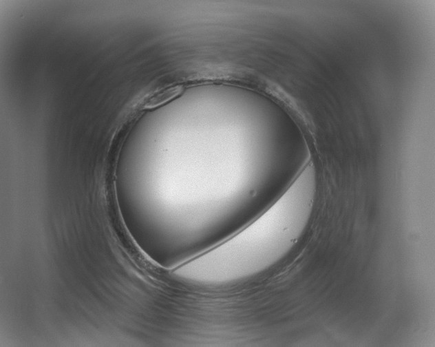 X0000062860203200601130956