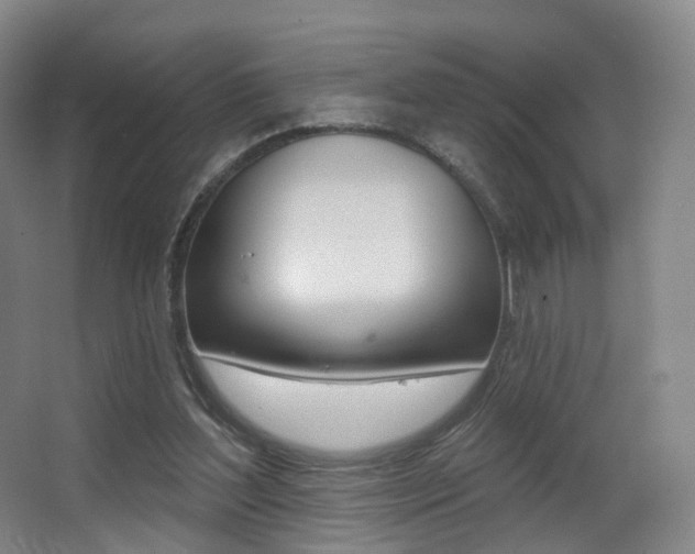 X0000062860204200601130956