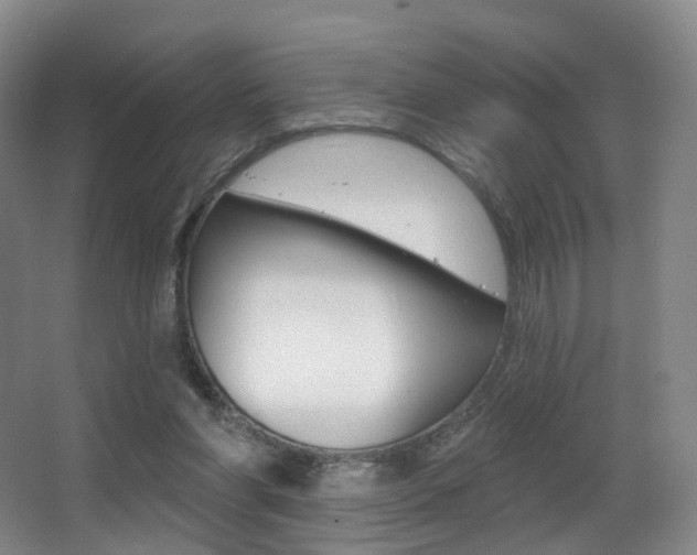 X0000062860206200601130956