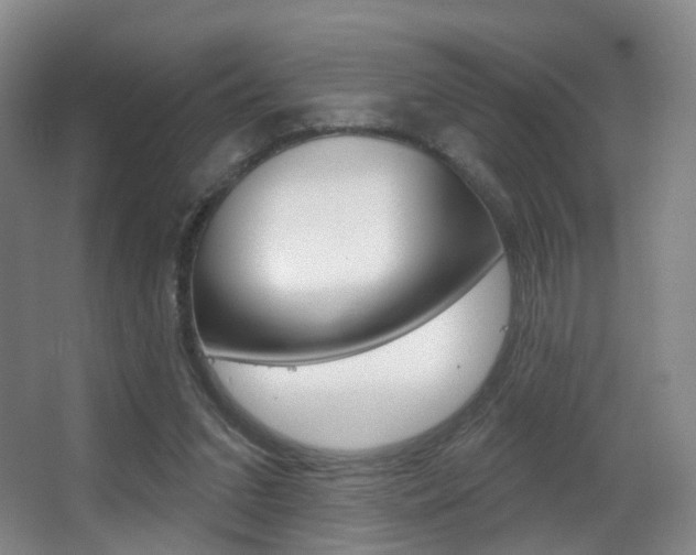 X0000062860207200601130956