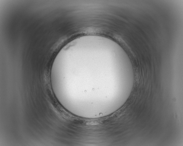 X0000062860208200601130956