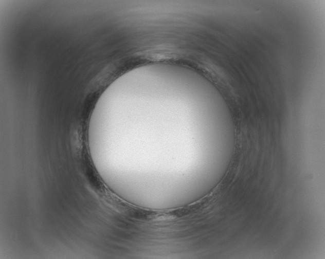 X0000062860210200601130956