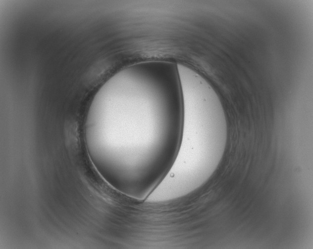 X0000062860211200601130956