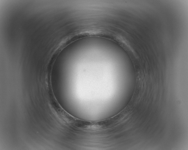 X0000062860212200601130956