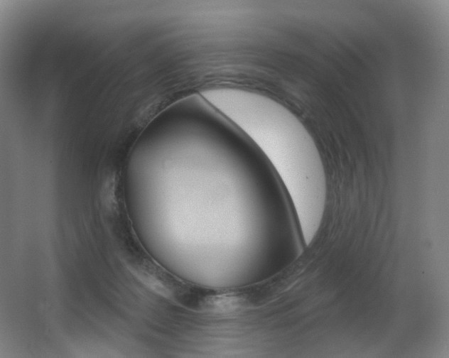 X0000062860219200601130956
