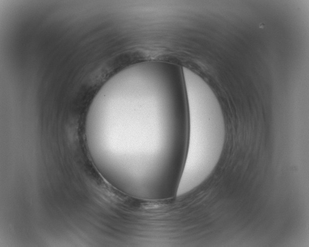 X0000062860221200601130956