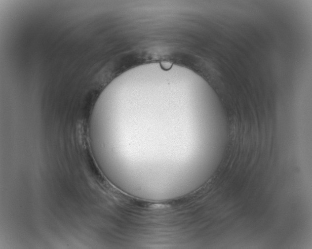 X0000062860222200601130956
