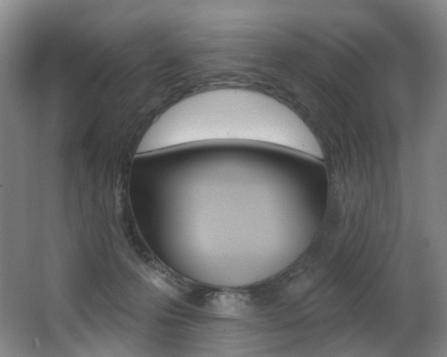 X0000062860223200601130956