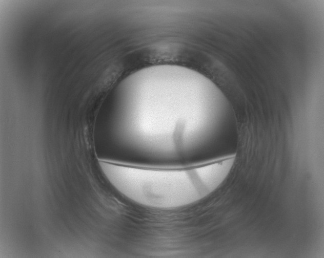 X0000062860224200601130956
