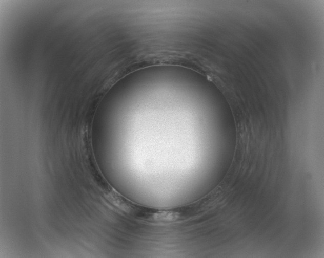 X0000062860225200601130956