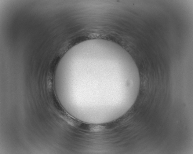 X0000062860226200601130956