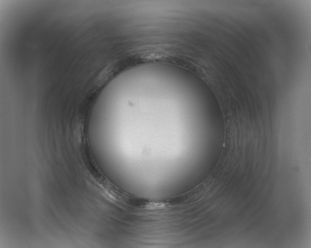 X0000062860227200601130956