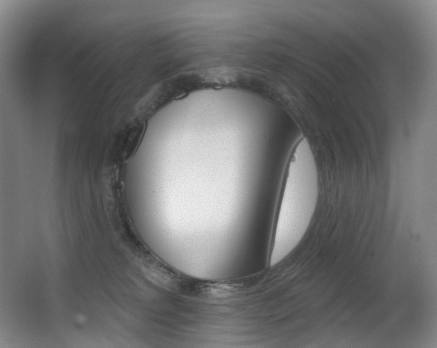 X0000062860229200601130956