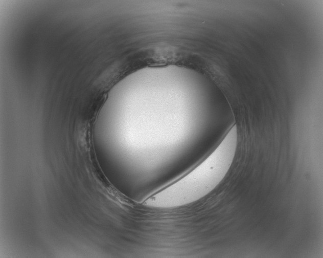 X0000062860233200601130956