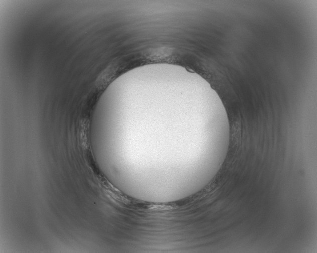 X0000062860234200601130956