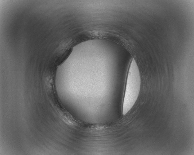 X0000062860235200601130956
