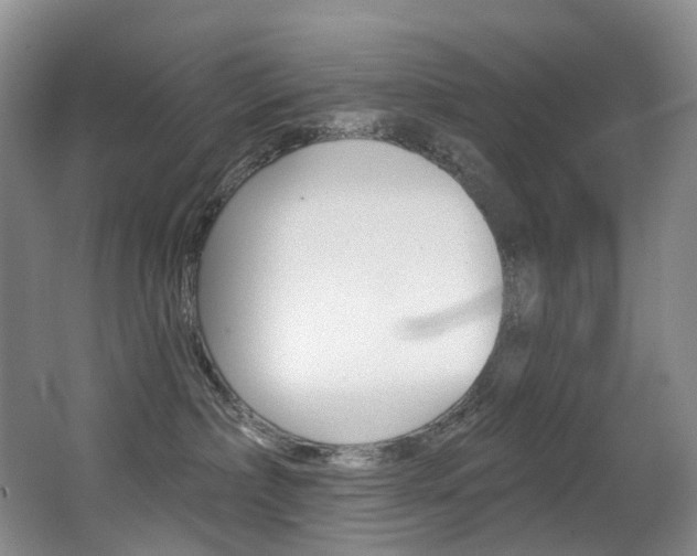 X0000062860236200601130956