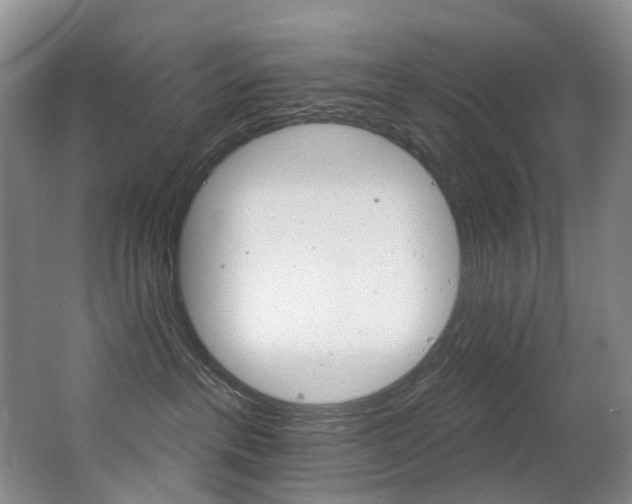 X0000062860237200601130956