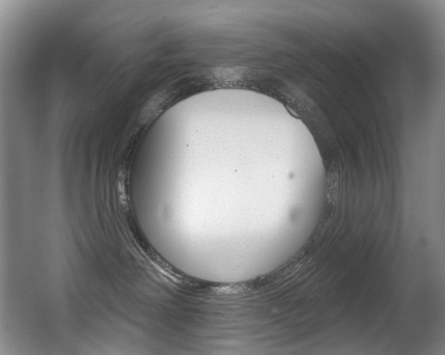 X0000062860238200601130956