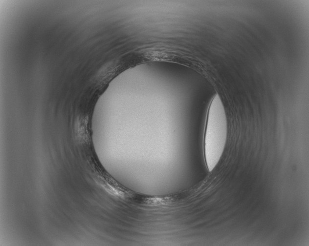 X0000062860239200601130956
