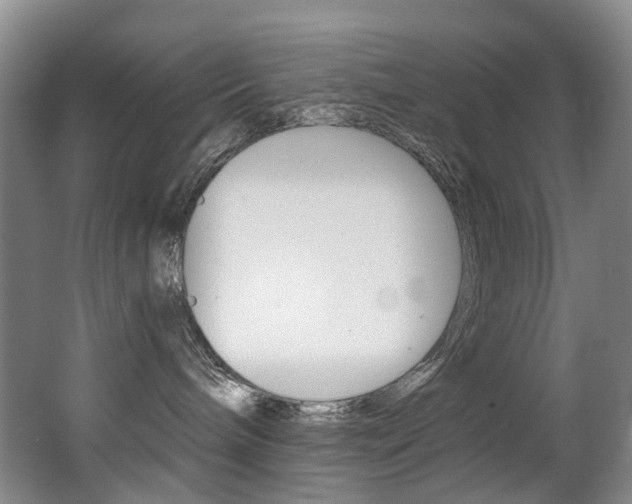 X0000062860240200601130956
