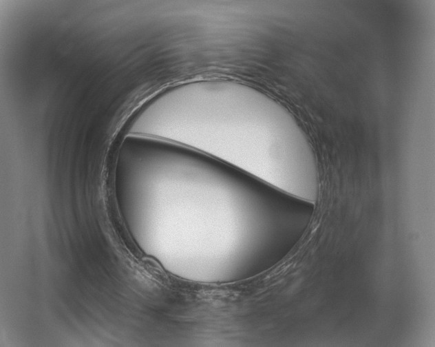 X0000062860242200601130955