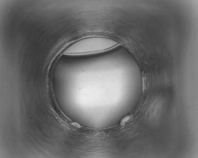 X0000062860243200601130955