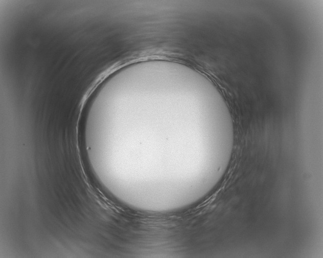 X0000062860244200601130955