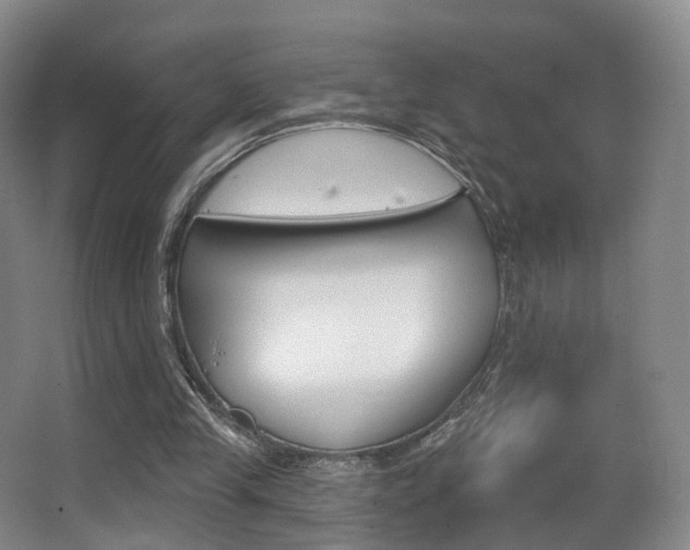 X0000062860245200601130955
