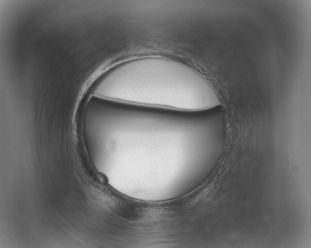 X0000062860246200601130955
