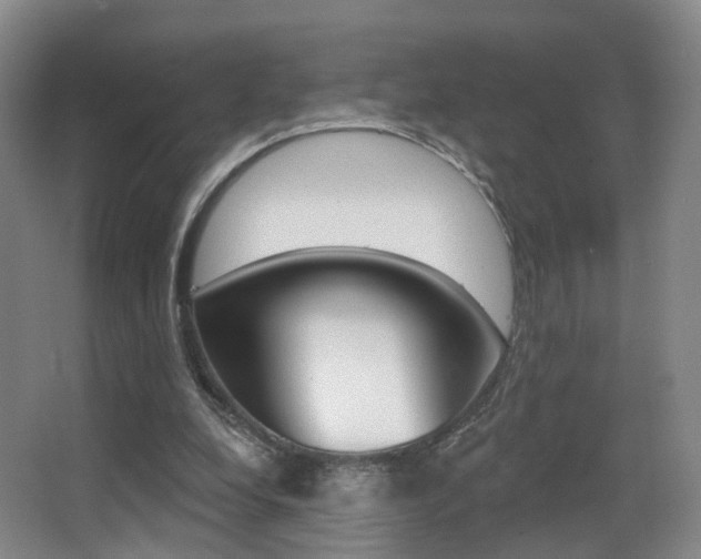 X0000062860248200601130955